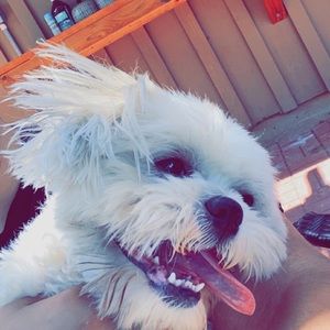 Meet your Posher, Edwin